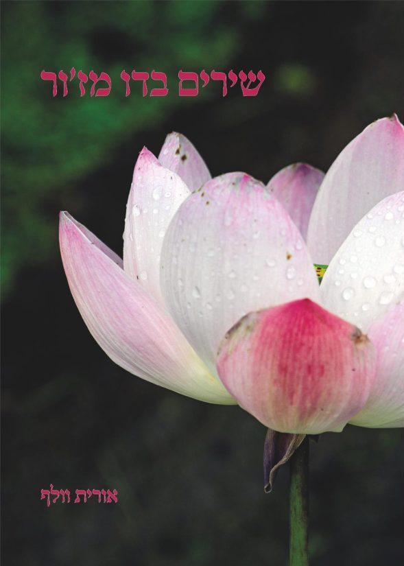 Book Covers - LOVE IN B MINOR